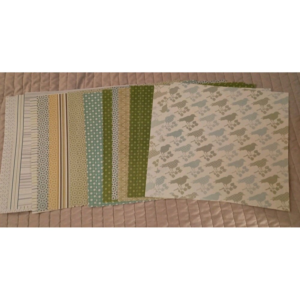 Bird Nature Scrapbook Paper  12x12 Paper 16 Sheets